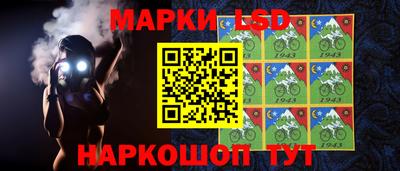 Альфа ПВП Будённовск