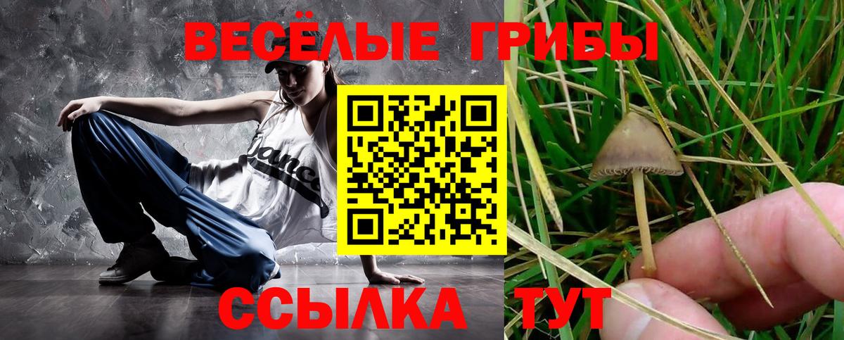 наркошоп  Галлюциногенные грибы Psilocybine cubensis  Чистополь  Вход с VPN  Галлюциногенные грибы Magic Shrooms 