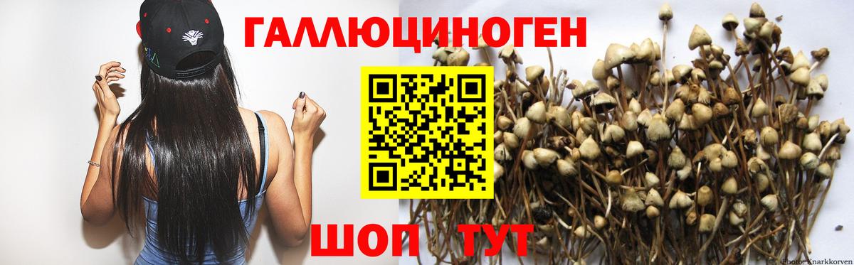 LSD-25 Чистополь